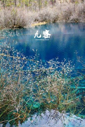 摩娜时尚博客