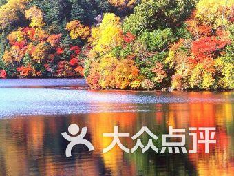我要当大触