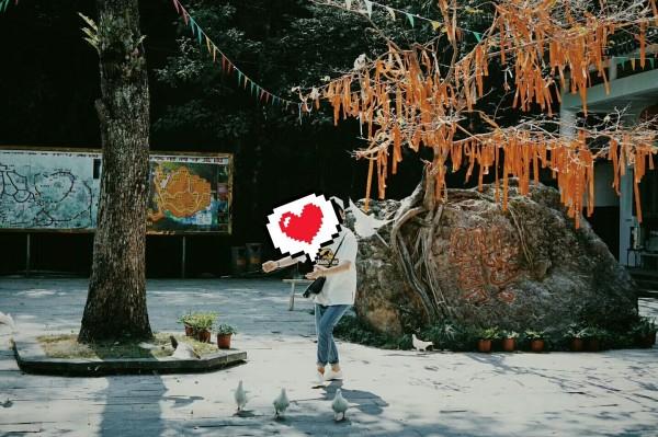 探索知识,畅享互动 - 漂亮女孩人缘真的就好嘛问答网
