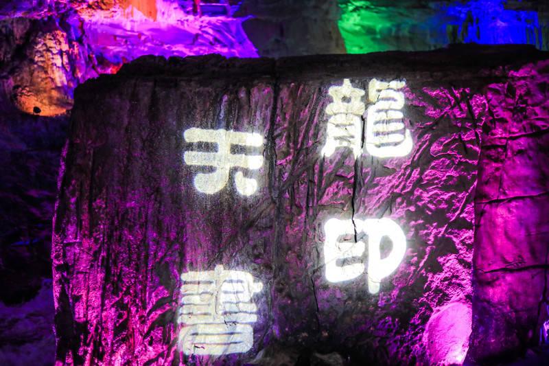 加快肉牛振兴 发展乡村产业 全力促进农民增收致富